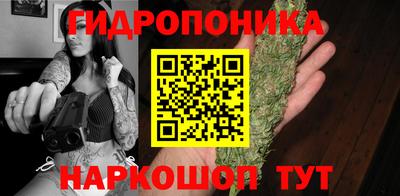стафф Пенза