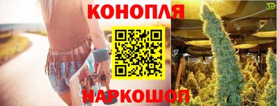 стафф Пенза
