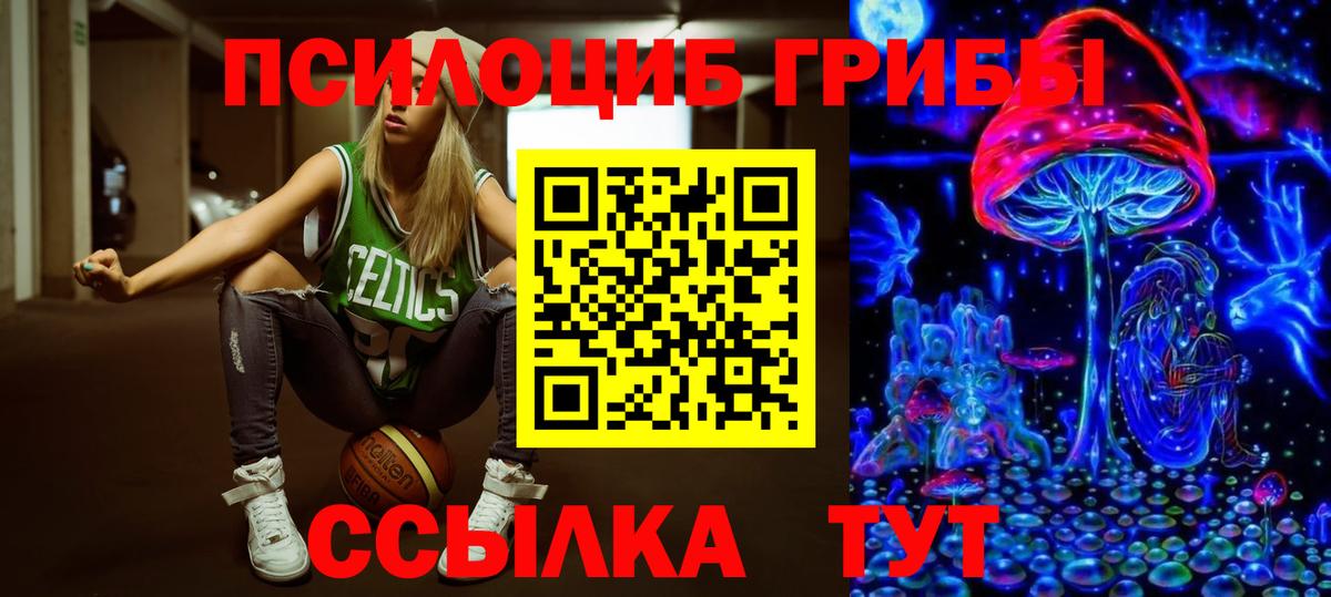 Псилоцибиновые грибы Cubensis Соликамск