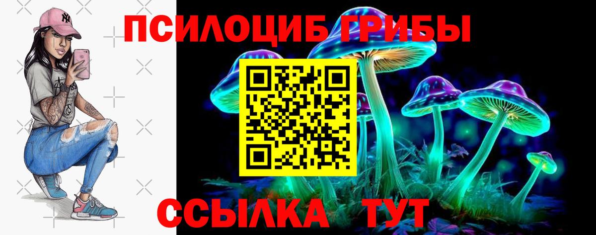 Соликамск  Псилоцибиновые грибы ЛСД  Вход с VPN  Галлюциногенные грибы Cubensis 